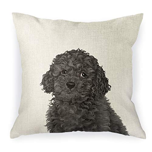 Wirester SQPILL17CS-SBPDSQPET0001-A4547 Sofa Pillow Case, Decorative Throw Pillow Cushion Cover For Home Office 18 X 18 Inch, Cute Grey Toy Poodle cover