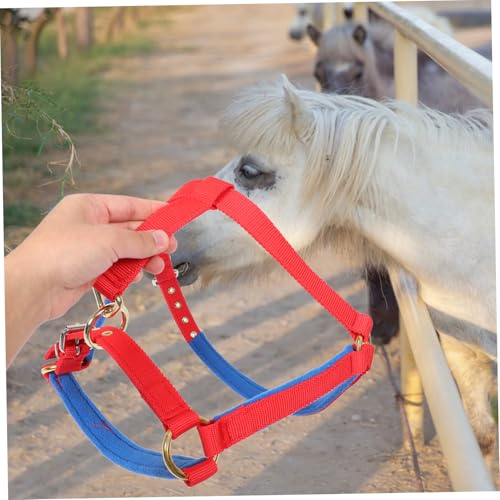 Cabestro resistente para entrenamiento de caballo VANZACK ajustable 7