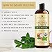 Handcraft Blends Coconut Oil Pulling for Teeth and Gums with Peppermint Oil - Organic Coconut Oil Pulling Oil Mouthwash for Fresh Breath, Oral Health and Cleaner Teeth and Gums - 8 Fl oz