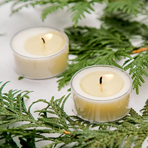 Santa'S Naturals 0856930006663 Fraser Fir Christmas Tea Light Candles thumb #6