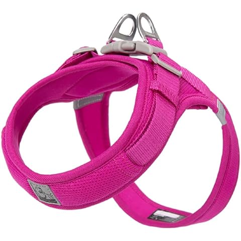 WINHYEPET Truelove Dog Harness Soft Mesh Reflective Breathable Step-In Dog Harness, Easy Walk Harness with Safety Buckle for Extra Small and Small Dogs, Vest Harness TLH3013(Fushcia, S) Cover