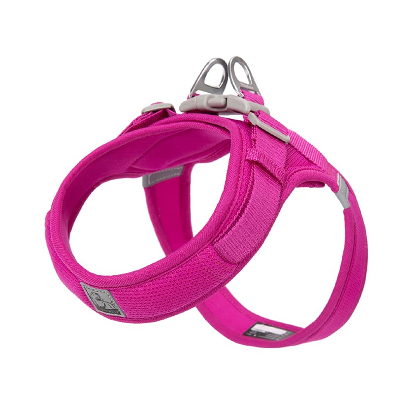Pinkaholic NATA AL7552 PK M Lana Leash Rosa M Correa Para Perros