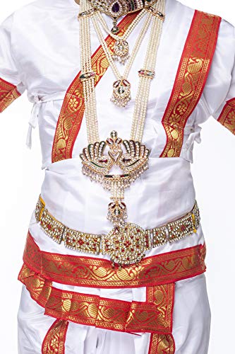Image of Girls BharatNatyam Costume for Classical Dance Costumes for Annual Compitition /Annual Function School Event (18-24 Months)