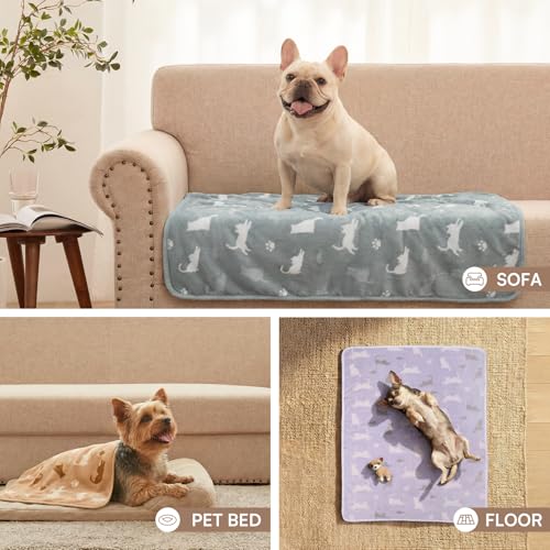 Image of Luciphia 1 Pack 3 Cat Printed Fleece Pet Blankets Washable,Soft Warm Throw Covers for Crate Couch Bed,Cozy Puppy Essentials for Dogs and Cats,Purple /Grey /Khaki, Small (23x16 inch)