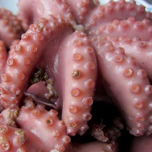 炩uⓀA_R(_R)3kgv VuVuAhgAĂAϕtAĂ