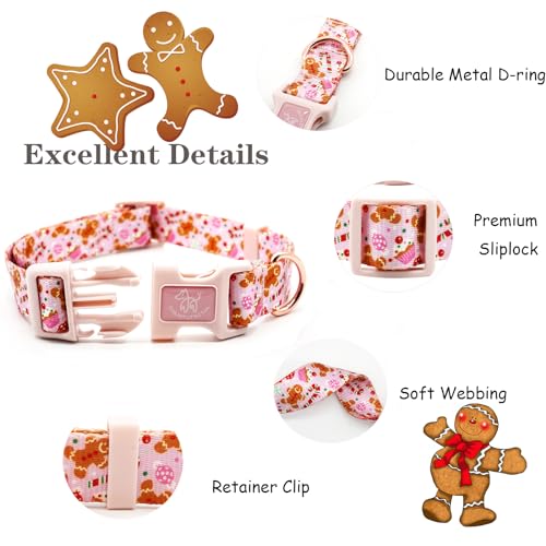 Collier pour chien avec laisse rose pour balade urbaine et parc