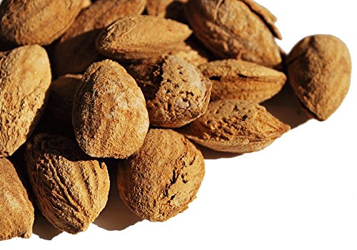 A É kt A[h   Ɩp ibc hCt[c ٍޗ [ XC[c wgE G Almond (1kg)