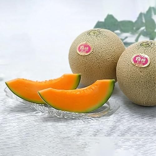 [令和8年産先行予約]鶴姫レッドメロン(3〜5玉) 秀品 4L〜2L K-843 鶴岡市農業協同組合 赤肉メロン