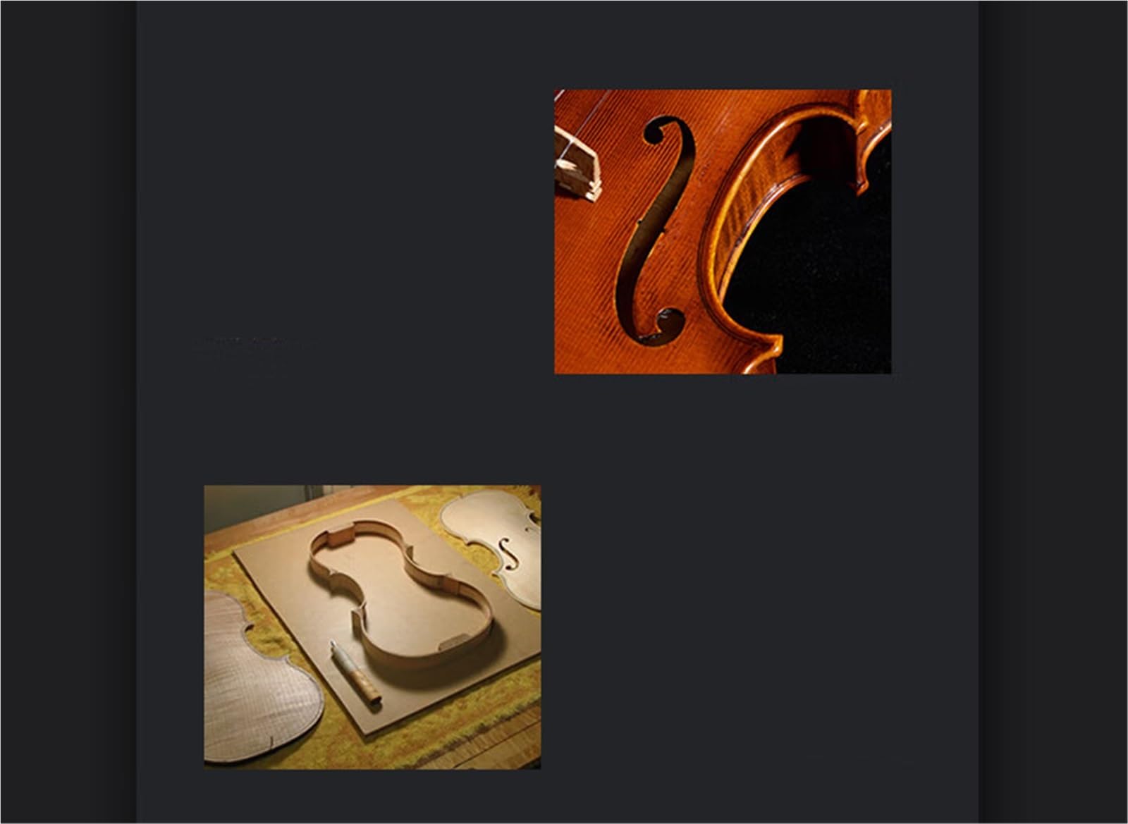 Un Violino Solista Da Concerto Per Adulti Violino