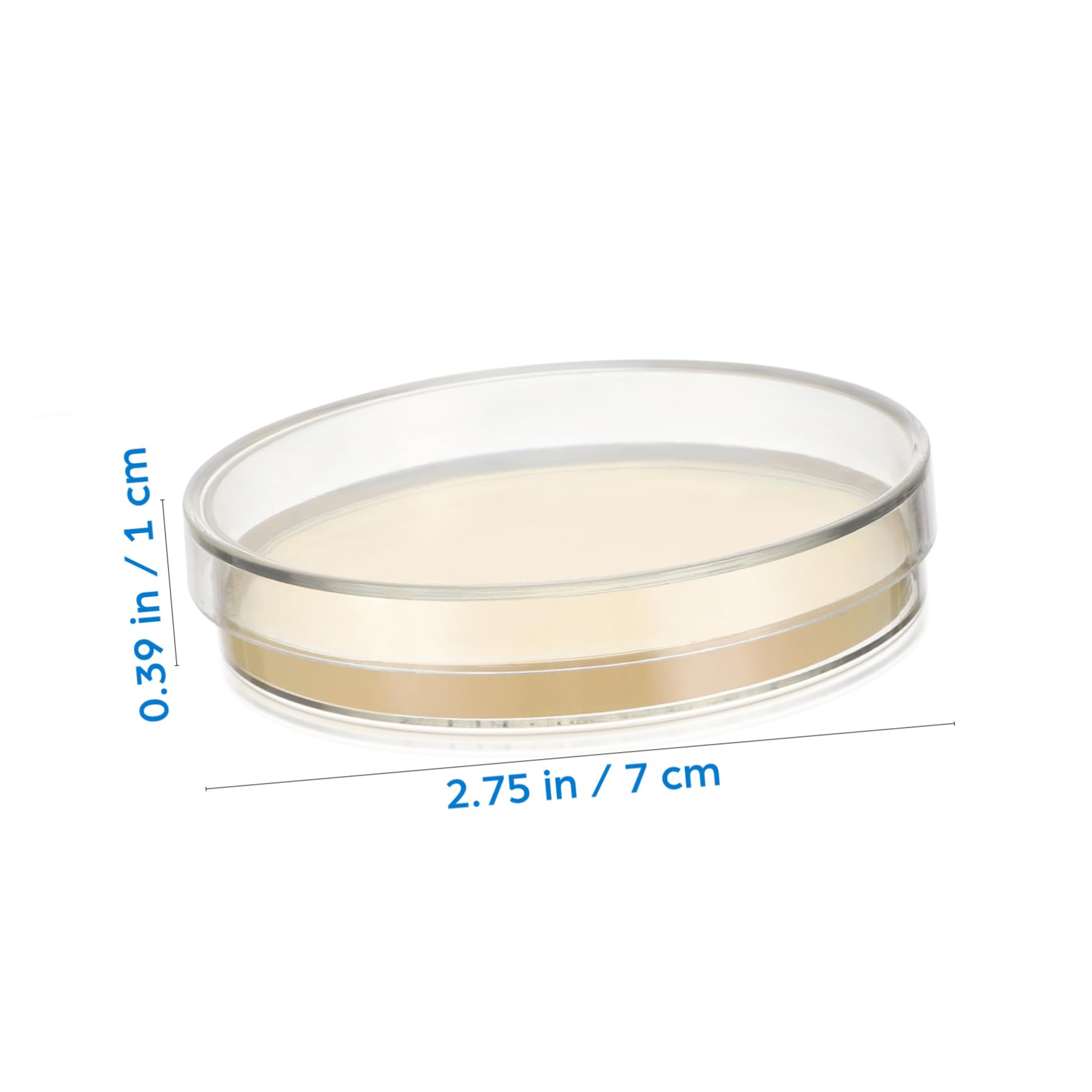 Anneome 20 Placas de Agar Prevertidas de 7cm para Cultivo y Experimentos Científicos, Listas para Usar, Fáciles de Transportar