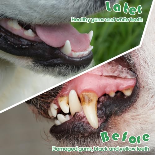 Image of Gerrii 200 Count Dog Toothbrush Double Headed Pet Toothbrush Long Handle Dog Tooth Brushing Kit Soft Bristles Pet Tooth Brush for Doggy Cat and Most Pets Teeth Cleaning Dental Oral (Green)
