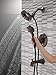 Delta Faucet Linden 17 Series Dual-Function Tub and Shower Trim Kit, Shower Faucet with 4-Spray In2ition 2-in-1 Dual Hand Held Shower Head with Hose, Venetian Bronze T17493-RB-I (Valve Not Included)