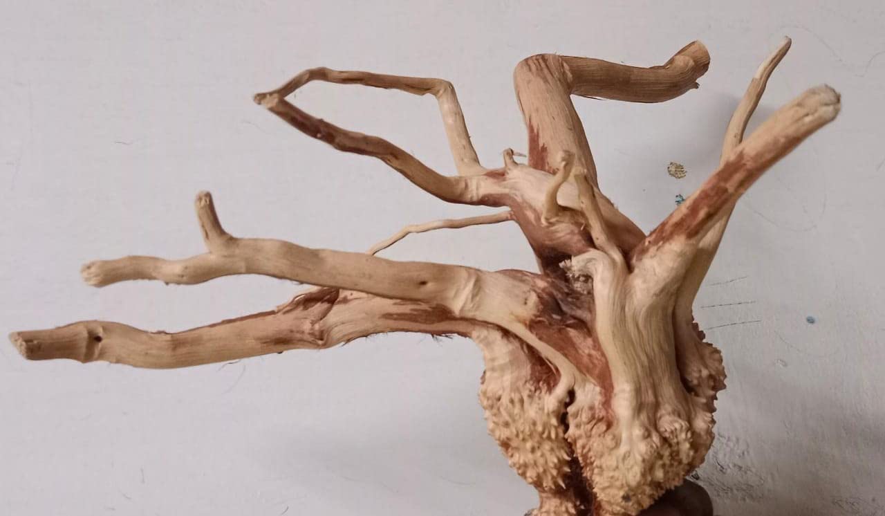 Blueheavens Aquarium Hardscap Material - Driftwood - Medium Size, 6"- 8" (Single Piece, Random Shape)