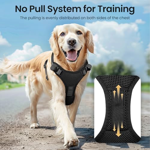 Light Up Dog Hundegeschirr Leuchtend LED Aufladbar - Leuchtgeschirr Leuchtend für Klein Mittelgroße Grosse Hund, Reflektierende Brustgeschirr Beleuchtetes Hundegeschirr, 4-Punkt Verstellbar,Schwarz,L