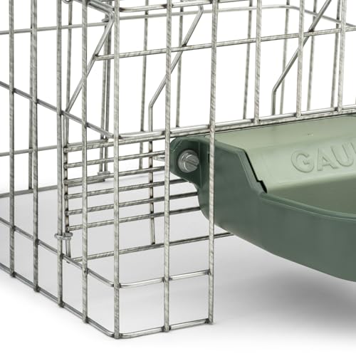 Agrarzone Hühnertränke automatisch mit Tank 10 Liter - ideal für Ställe ohne Wasserleitung - automatische Frischwasserzufuhr - Hühner Wasserspender/Geflügeltränke