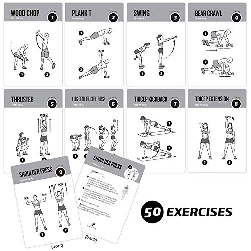 Exercise Cards Dumbbell Vol 1 Home Gym Workouts Strength Training Building Muscle Total Body Fitness Guide Workout Routines Bodybuilding Personal Trainer Large Waterproof Plastic 3.5”x5” Cards