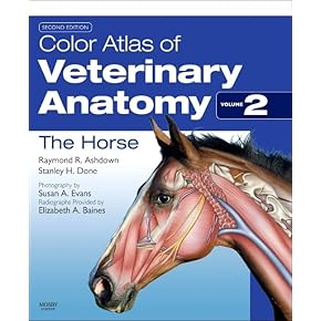 Surgical Complications and Management Strategies，An issue of Veterinary Clinics: Equine Practice (Volume 24-3) (The Clinics: Veterinary Medicine，Volume 24-3) [ハードカバー] Goodrich DVM  MS  PhD，Laurie Home Page: Veterinary Clinics: Equine Practice