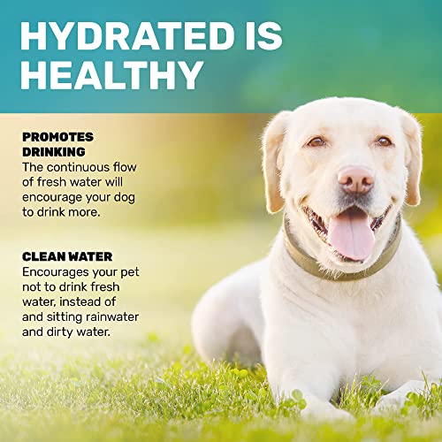 Dog Fountain Water Fountain For Dogs Dog Sprinkler Dog Toys for Large Or Small Dog Bowl Alternative Pet Water Fountain… - Image 3