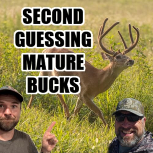 『#219 - Second Guessing Mature Bucks!』のカバーアート