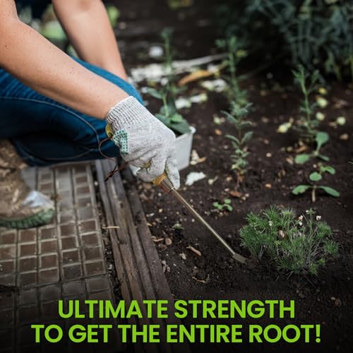 Garden Guru Eco Dandelion Weeder