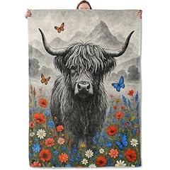 Highland Cow