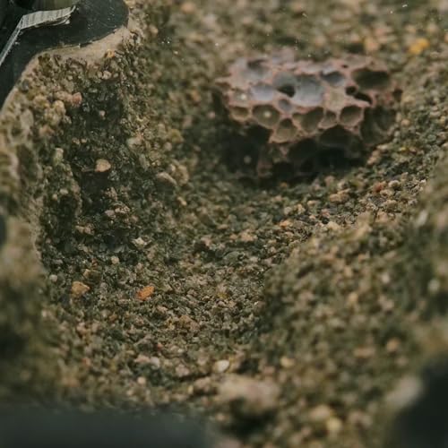 Ant Natura 2:2 – Profissional, modular e adaptável a muitas espécies – Sistema de umidade ajustável