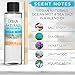Urban Naturals Ocean Mist & Sea Salt Scented Oil Reed Diffuser Refill | Includes a Free Set of Reed Sticks! 4 oz.