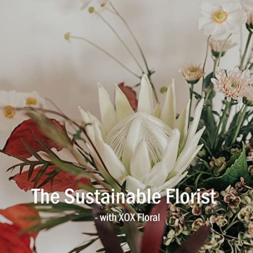 XOX Floral - The Sustainable Florist Titelbild
