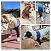 Dog Recovery Sleeve, Dog Recovery Suit, Abrasion Resistant Sleeve Front Leg, Washable 2.5mm Thick and Waterproof, Pet Wounds Prevent Licking, Bite (Small, Blue)