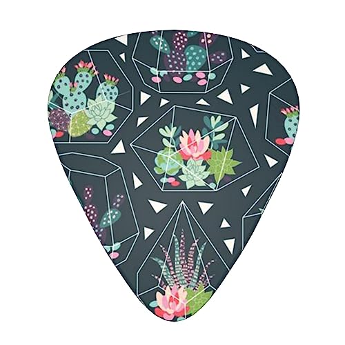 Lot de 12 médiators de guitare en forme de plantes et de cactus dans une boîte pour ukulélé guitare électrique basse - Les Beatles, Paul McCartney, John Lennon, RIngo Starr, George Harrison Lot de 12 médiators de guitare en forme de plantes et de cactus dans une boîte pour ukulélé guitare électrique basse
