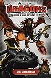 dragons die reiter von berk film stream  Dragons - die Reiter von Berk 6: Die Unterwelt