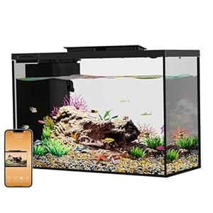 5 Gallon Betta Fish Tank self Cleaning, Small Fish Tank with Filter Light Water Pump, Fish Tank Starter Kits Fish Bowl (Aquarium with Landscape)