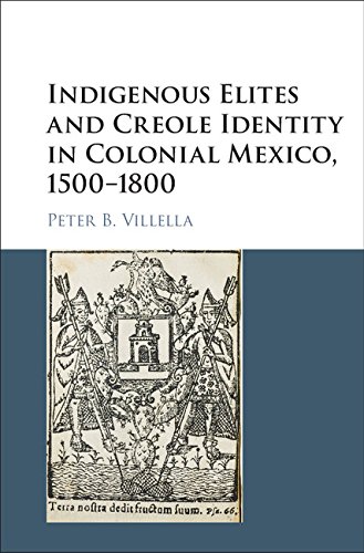 Indigenous Elites and Creole Identity in Colonial Mexico, 1500–1800 (Cambridge Latin American Studies Book 101)