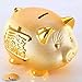 Mose Cafolo Gold Piggy Bank ~ We Wish You Wealth and Success Saving Box Piggy Bank Coin Bank for Home Decor, Holiday and Birthday Gift