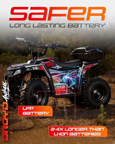 Droyd 500W Brushless Motor ATV