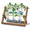 EVEAGE Propagation Station