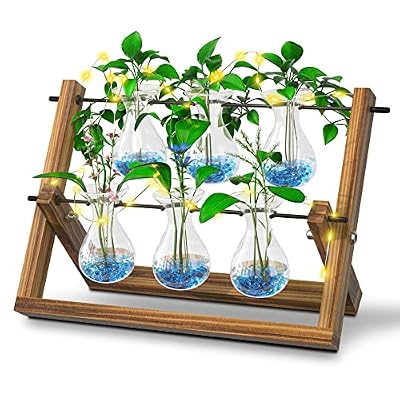 EVEAGE Propagation Station