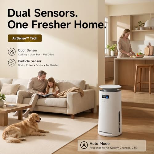 whole house air purifier product image
