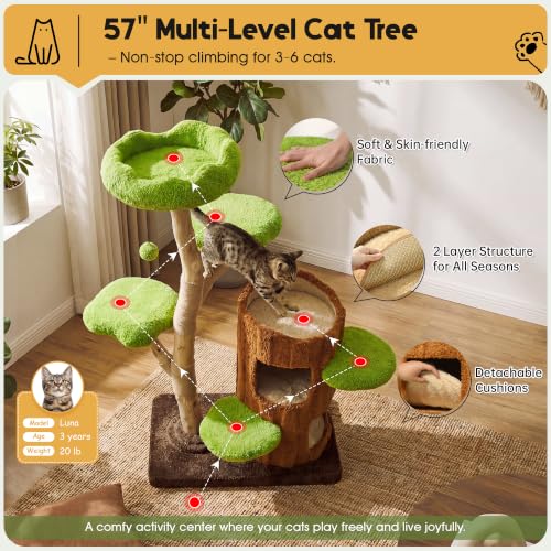 Image of KAMABOKO 57 inch Tall Indoor Cat Tree, Large Tower with 2 Condos & Sisal Scratching Pad