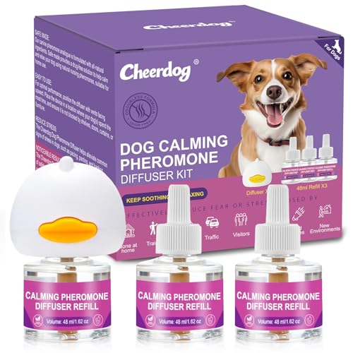 anxiety relief for dogs