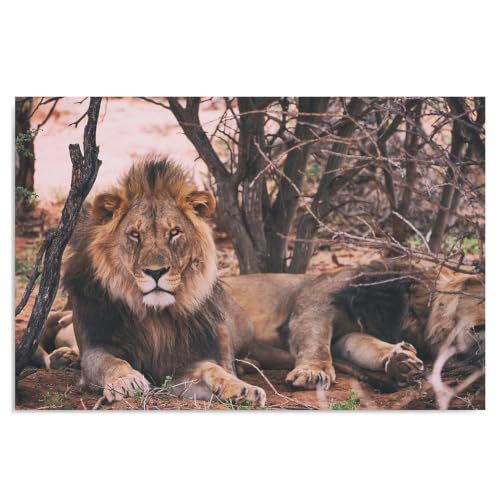 Póster de leones africanos, lámina de animales de safari para llenar de vida tu casa