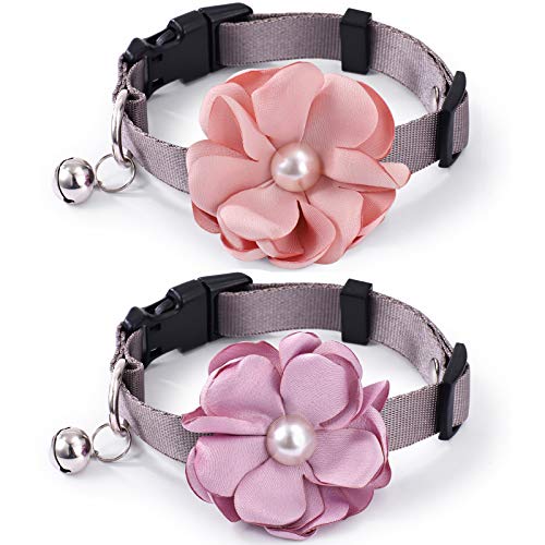 Freewindo 2 L̎ lN^C ̎ցAxtO\ȉԌ̔L̎ցA߉\ȃiC̎ ^ ^ƔLp(XS)