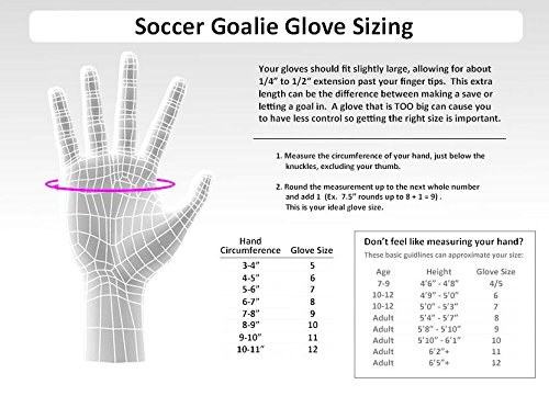 Amazon | サッカーロイシュReusch Reロードデラックスg2ゴール