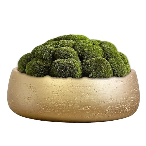 Olly & Rose Large Ceramic Planter Bowl Shallow Plant Pot - Gold Flower Pot Indoor and Outdoor Decorative Bowl Garden and Home Décor by Olly & Rose - Image 5