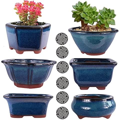 MUZHI Glazed Bonsai Pot Planter 6PACK Cover