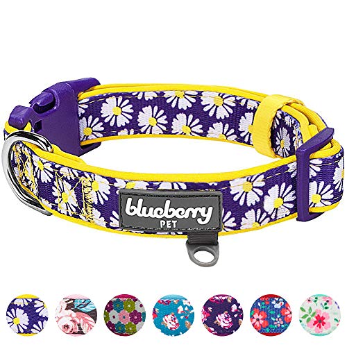 Blueberry Pet 11 Patterns Soft & Comfy Loving Daisy Prints Padded Dog Collar