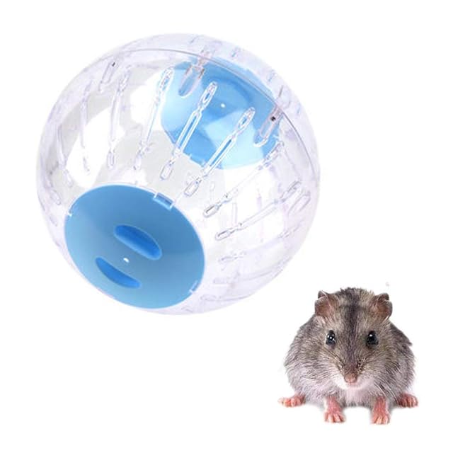 Foto 2 de 6 de Bola de Plástico de Hámster, Pelota de Fitness Transparente para Hámster, Rata, Jerbo (Azul)