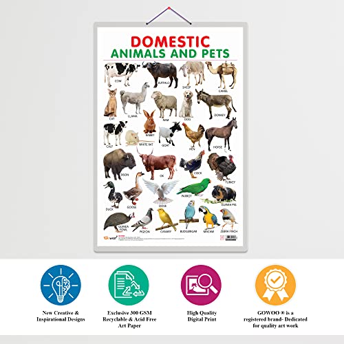 Image of GO WOO Combo of 2 (Alphabet and (Domestic Animals and Pets) Educational Posters for Preschool Kids Classroom Study | Learning- Charts for Kids Learning (20 inchX30 inch Inches)