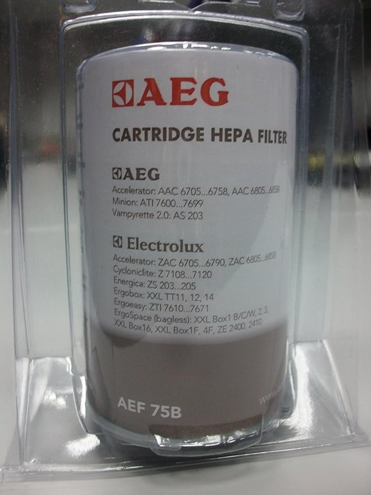 AEG 9001669119 AEF75B Central Filter for Minion/Ergoeasy/Vampyrette/Accelerator