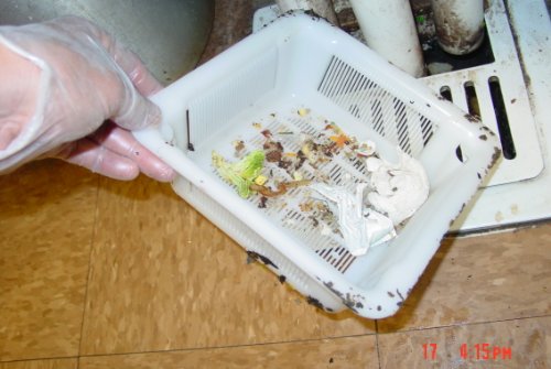 Colador para desagüe de piso 6.5" miniatura 3